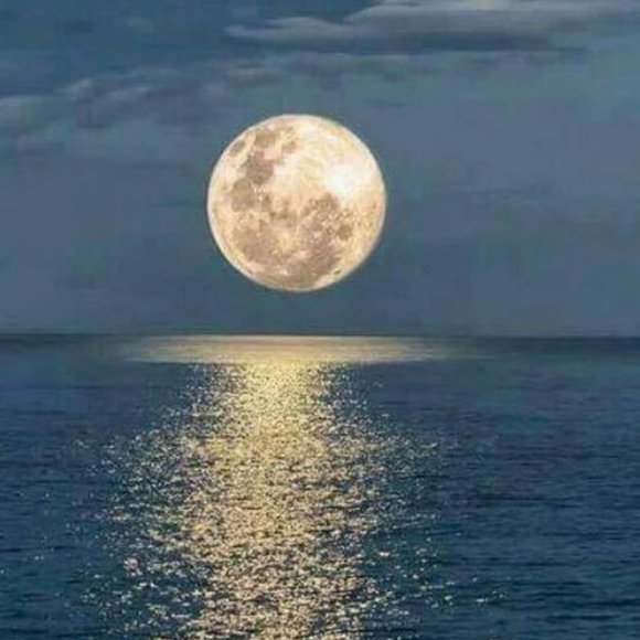 Meet your Posher, Mel - Picture 1 of 1